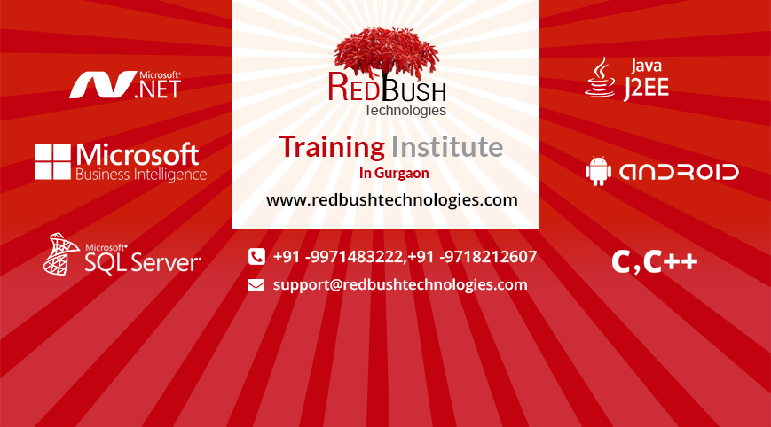 More about RedBush Technologies